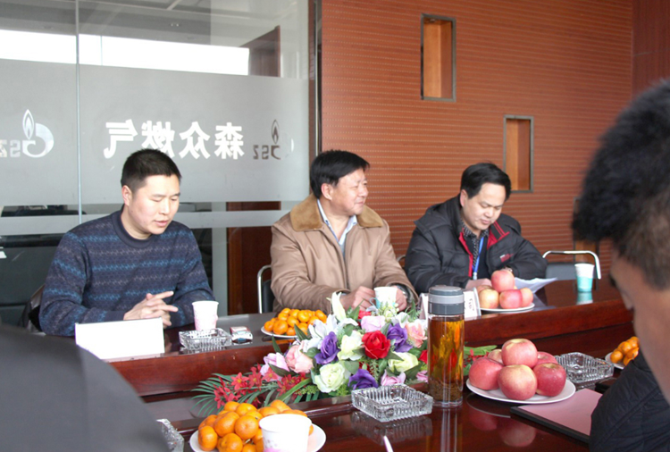 林口县政府与开云网页版·官方版在线登入-开云(中国)  燃气项目洽谈.png
